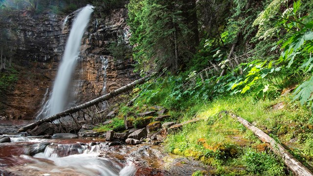 a rocky stream and waterfall fills the left, various plantlife on the right