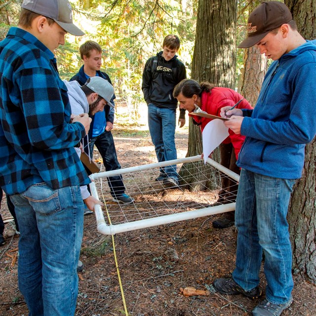 students monitor a plot of land in a forest