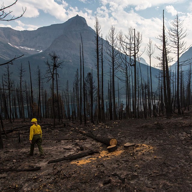 Reynolds Creek Fire  2015