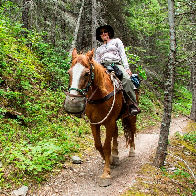 Visitor riding a horse on the Cracker Lake loop.