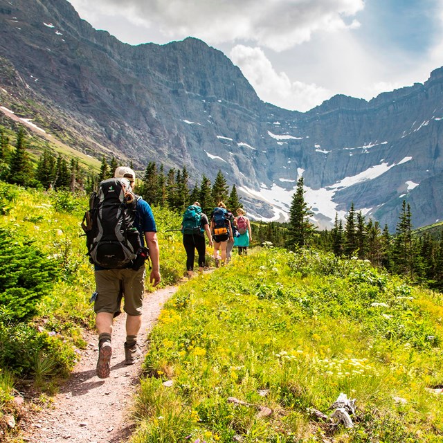 Hikers on Cracker Lake Trail with wildflowers and mountains