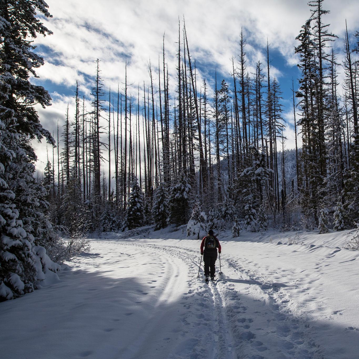 Cross-country skiing in Glacier National Park