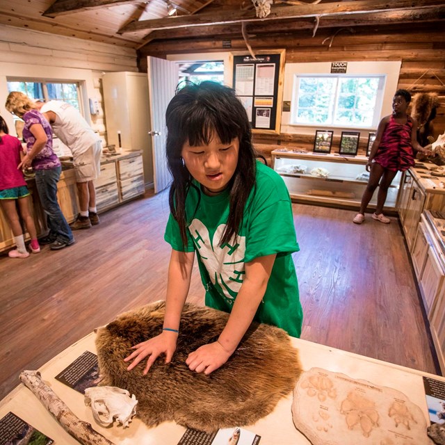 Kids explore the Apgar Nature Museum