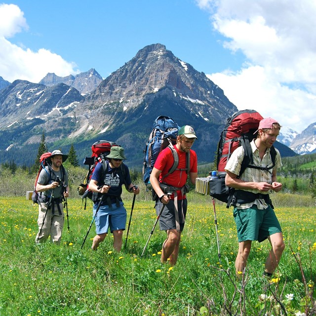 Four backpackers cross field of wildflowers with mountains in the background