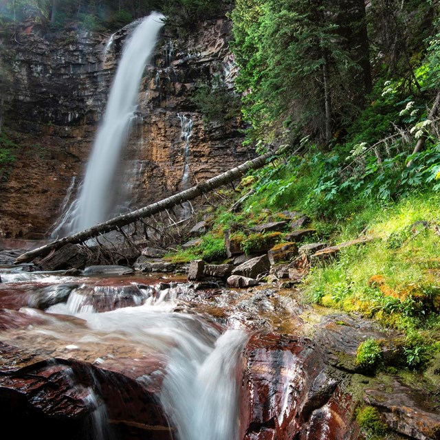 a rocky stream and waterfall fills the left, various plantlife on the right