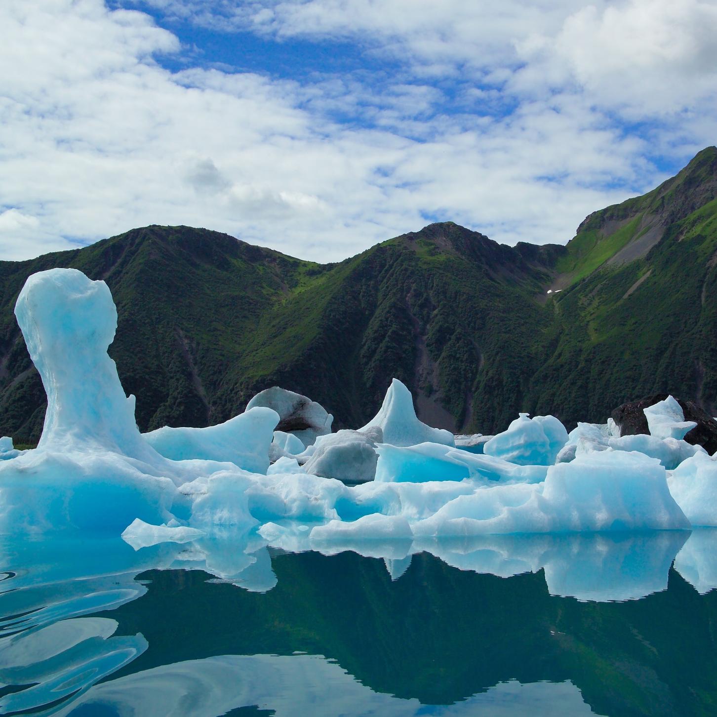 ice burgs