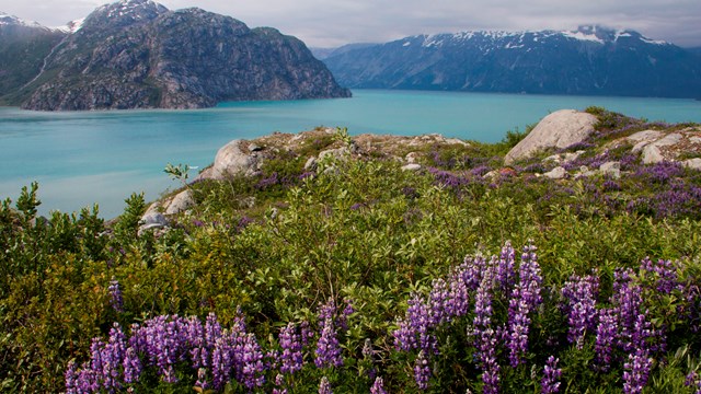 What's So Special About Glacier Bay?