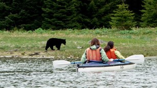 two people in a kayak with black bear on beach