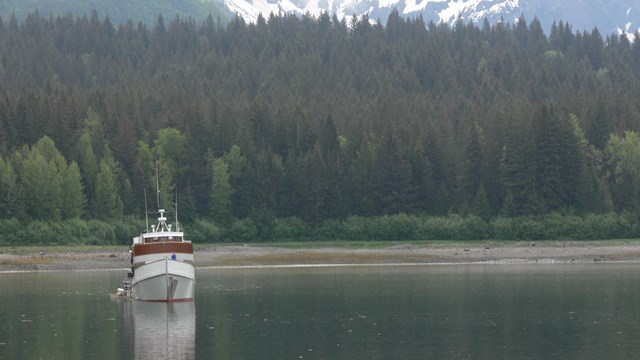 A wooden boat floats in front of a scene of spruce trees and a snowy mountain background.