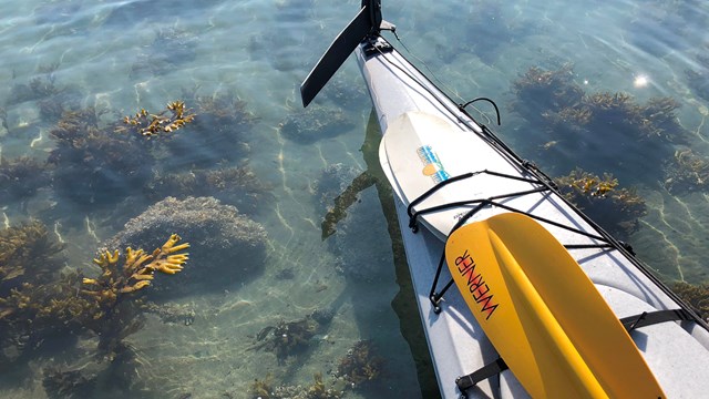 a kayak sits in the shallow water of the intertidal zone