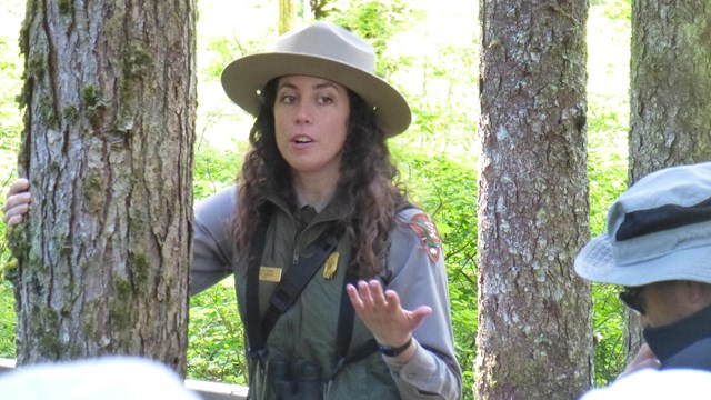 Join a ranger for our fun, informative, and free interpretive programs.