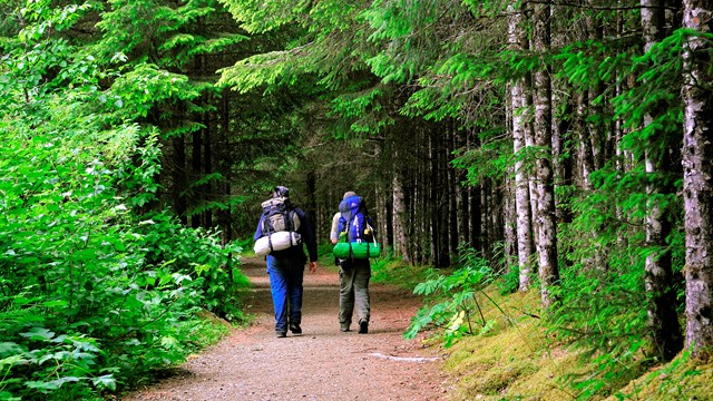 two hikers with backpacks walk down forested trail