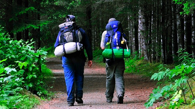 Hikers on a Bartlett Cove trail