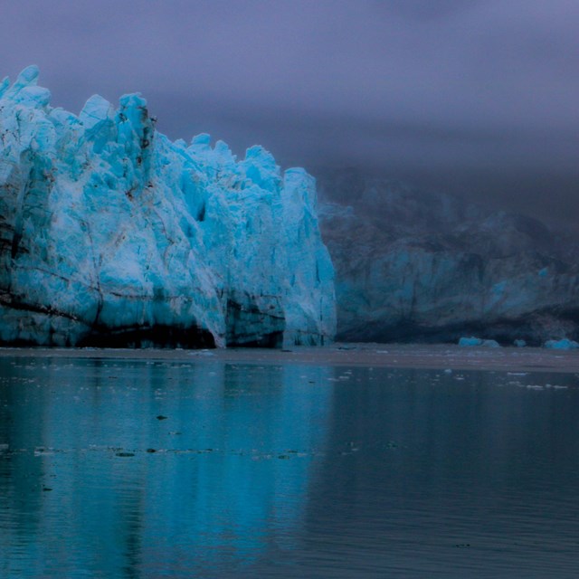 Overview of Selected Glaciers in Glacier Bay National Park