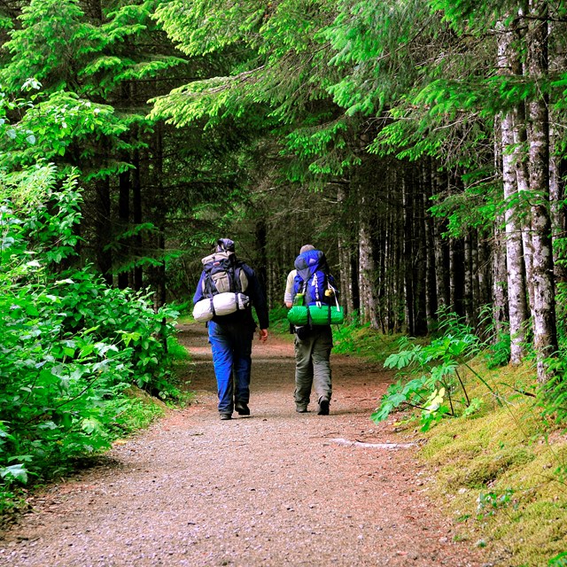two hikers with backpacks walk down forested trail