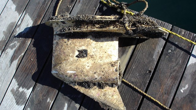 Mussel encrusted anchor lays on dock