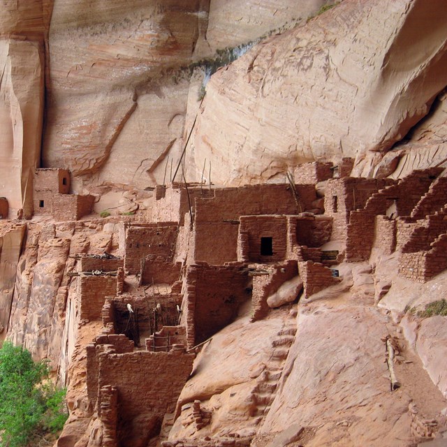 Cliff dwelling at Navajo National Monument