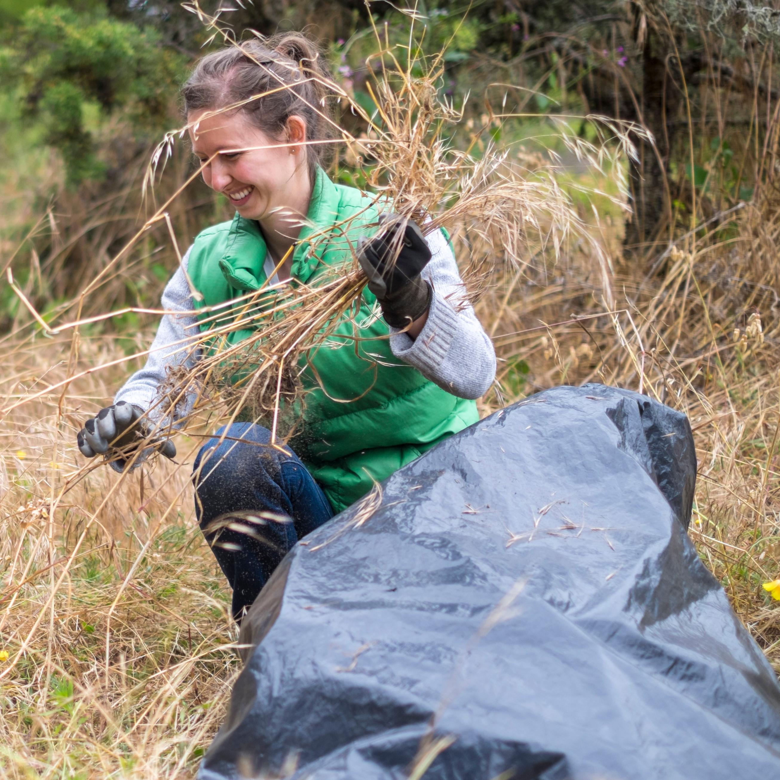 woman crouches in grassy area and puts pulled invasive species in a bag