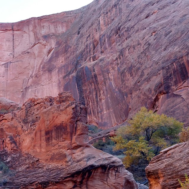 Red sandstone structures