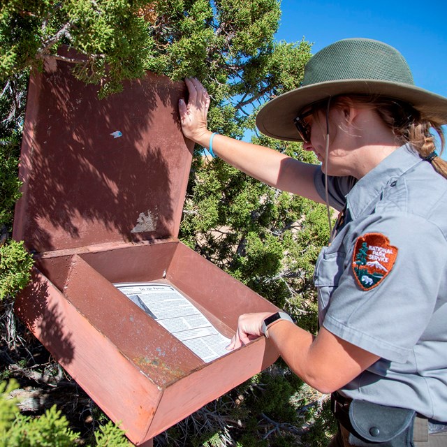 Ranger looks into metal box at trailhead