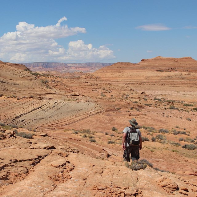 Hiker trekking on a rocky trail