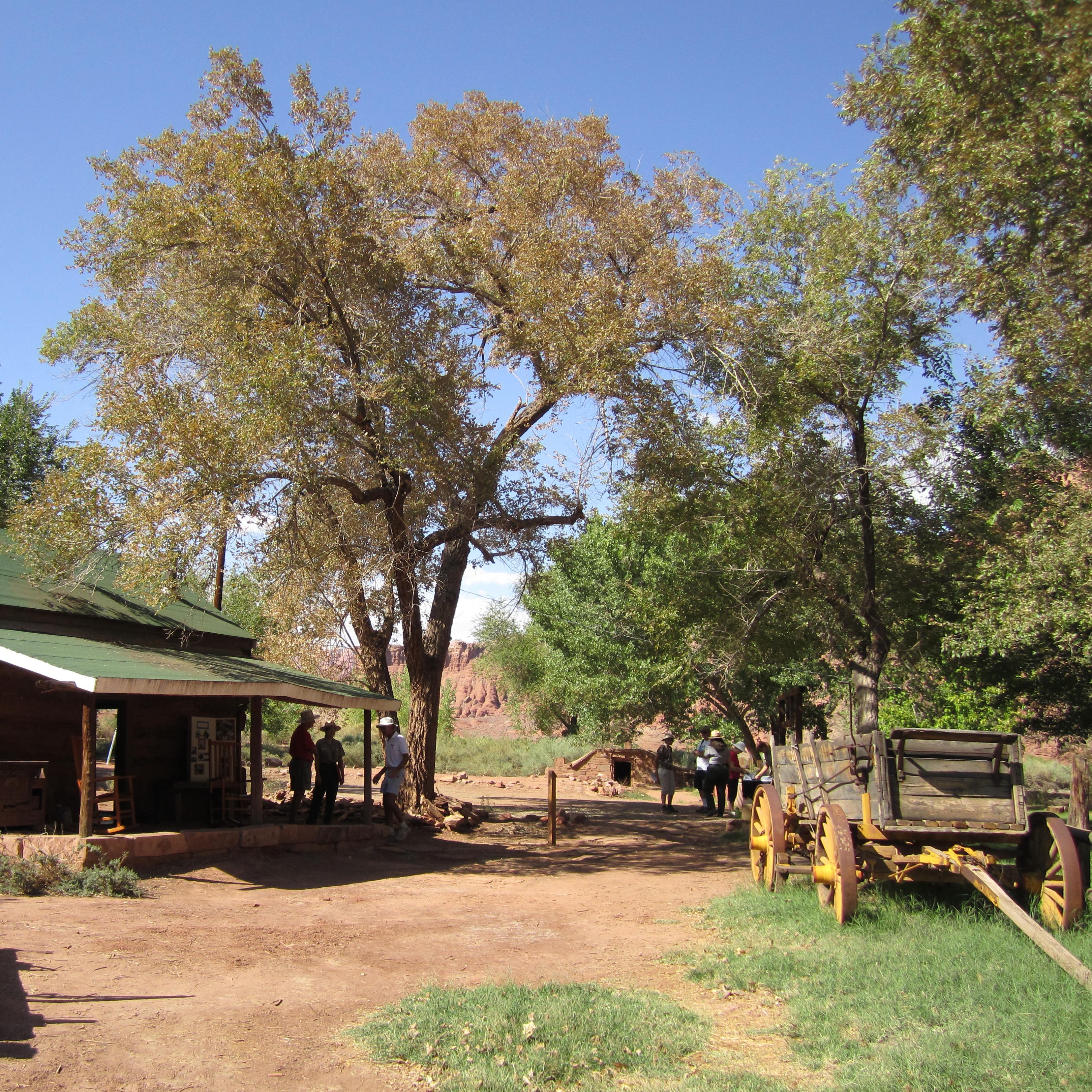 A wagon sits next to a historic log ranch house.