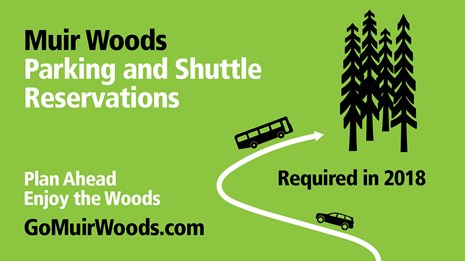 Green background with shuttle bus and tree drawings
