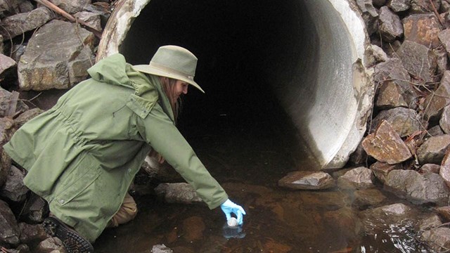 Researcher collects a water sample.