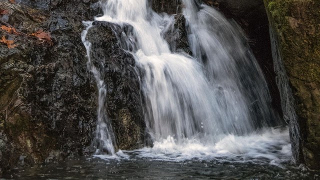 Image of waterfall at Mount Tam.