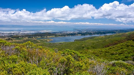 Green covered hills descend to an open lake and bay. White puffy clouds fill the sky. 