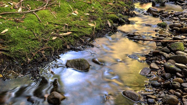 Close up of rocky creek.