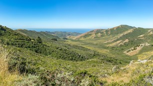 Grass and chaparral covered hills surround a a valley that leads to the ocean. 