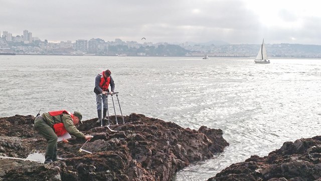 Researchers in life jackets conduct rocky intertidal monitoring.