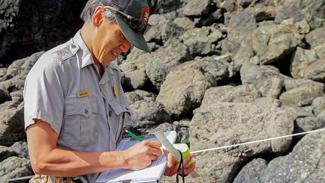 Researcher in NPS uniform records observations while standing in rocky intertidal habitat.
