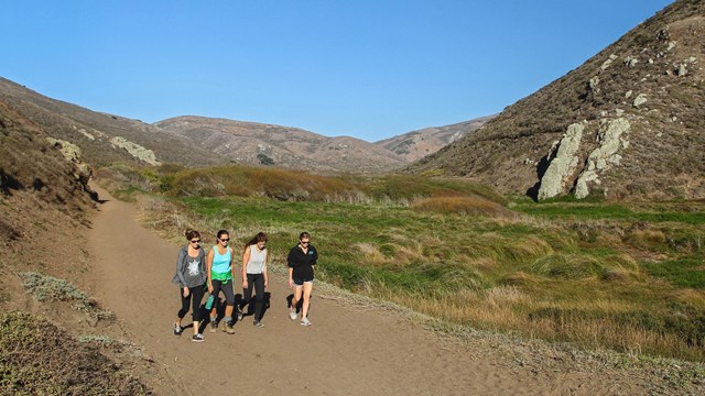 Four people walking down a trail in windswept Tennessee Valley
