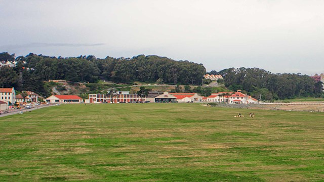 grassy open field