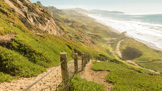 trail leading down to beach