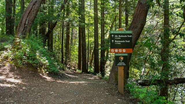 trail head label phleger estate in front of tree lined trail