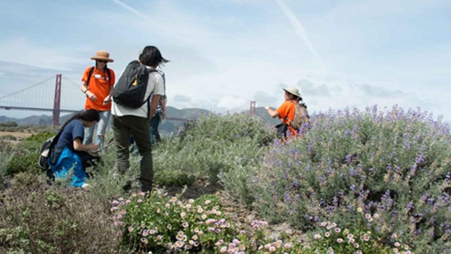 young people volunteering in field