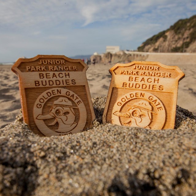 two badges on ocean beach