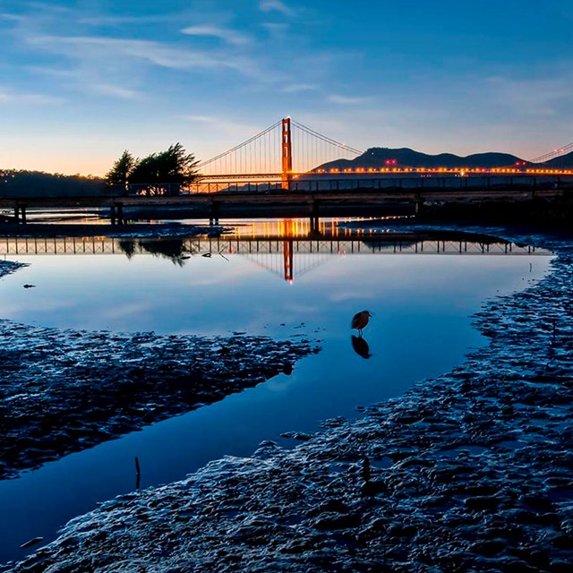 Scenic shot of Crissy Field Estuary at dusk with Golden Gate bridge in the background.