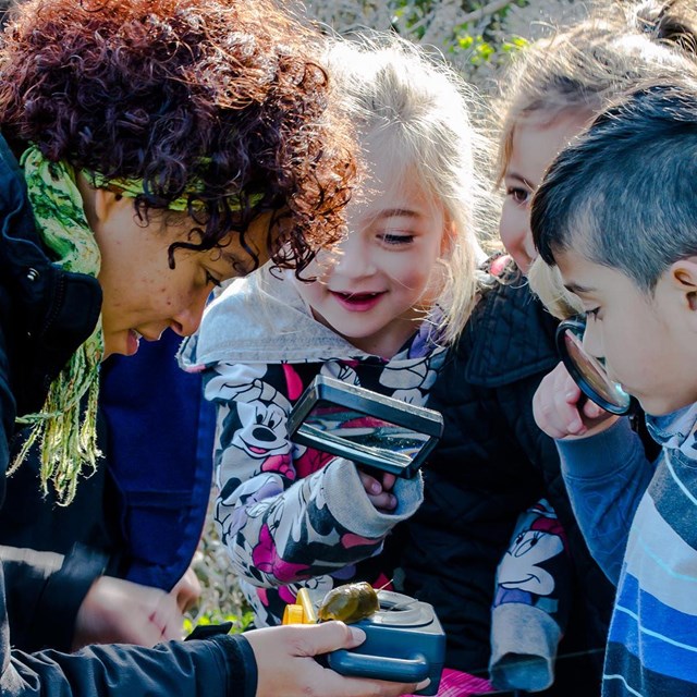 Photo of children looking at snail.