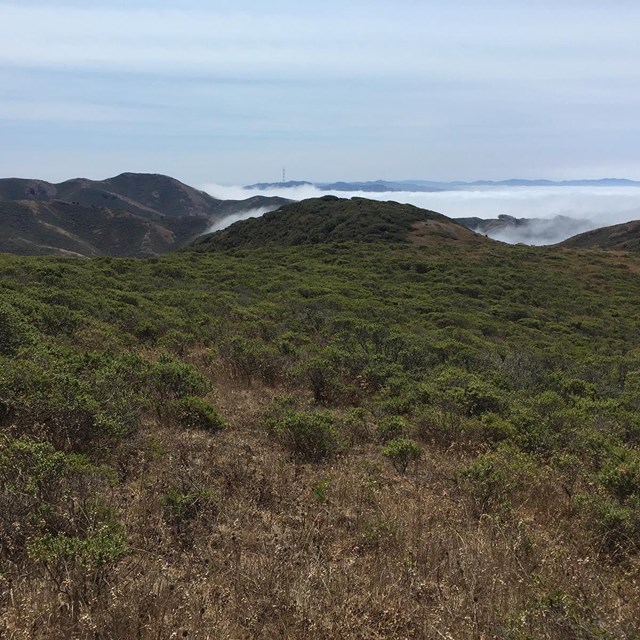 Landscape photo of foggy headlands.