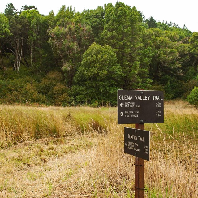 Point Reyes Bear Valley Visitor Center