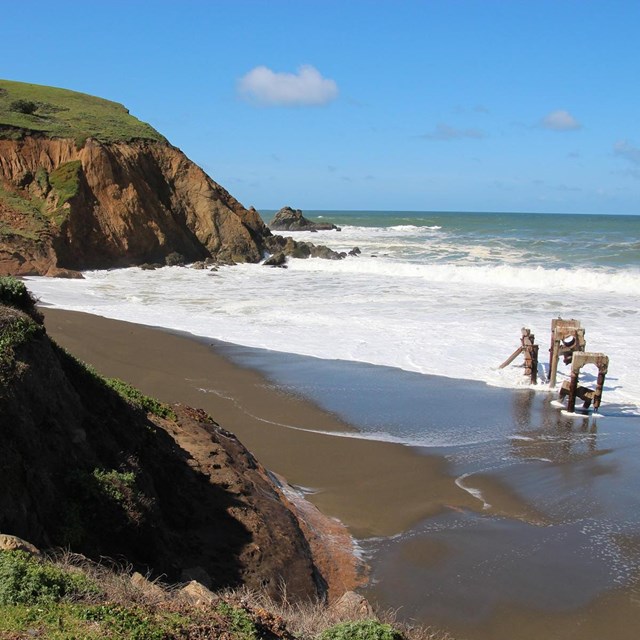 person sits on flowery cliff overlooking the ocean