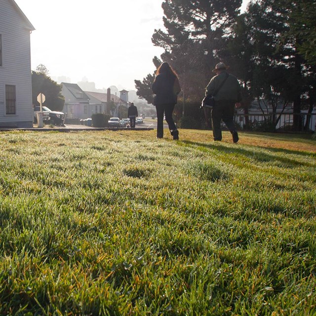 dutch angle of people walking on grassy path