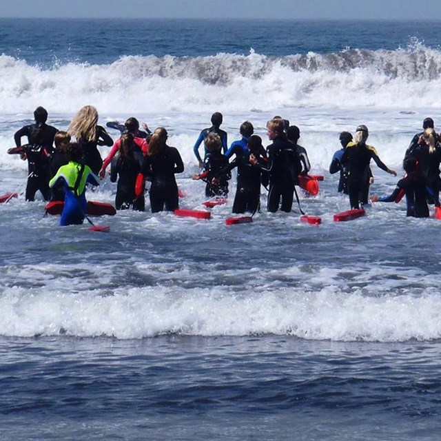 group of youth wading in the ocean