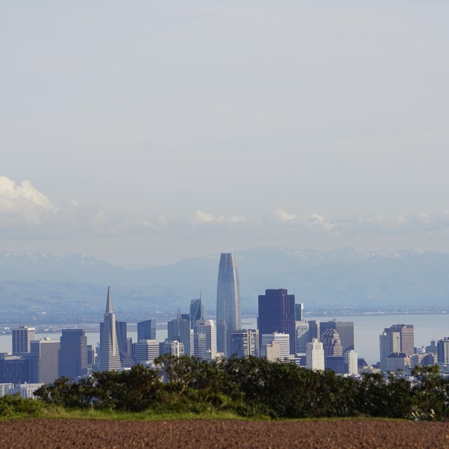 The San Francisco city skyline from behind the top of a trail. 
