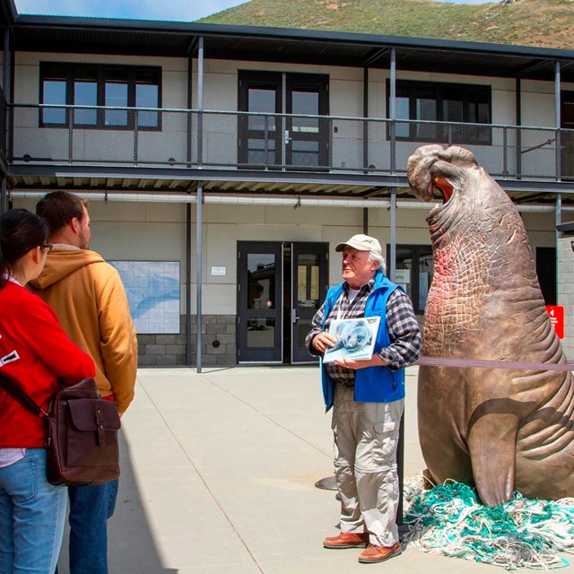 Docent educates visitors beside a massive statue of a bull elephant seal.