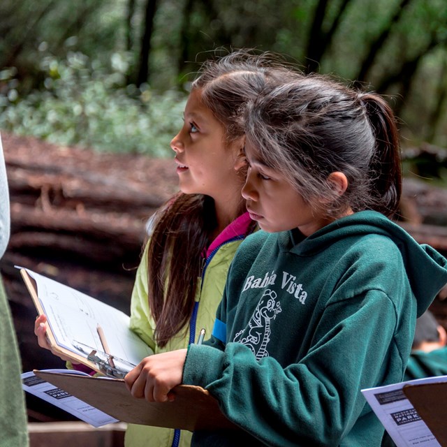 Students stand at Muir Woods with journals in their hands